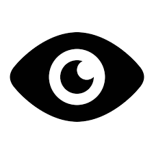Vision Icon